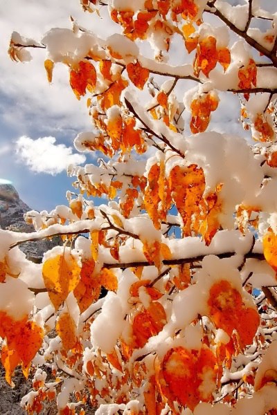   - 24  2015  11:16 - 4