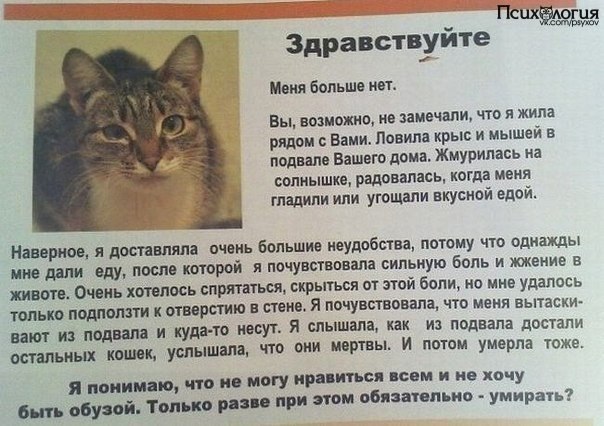 ,  ...!
