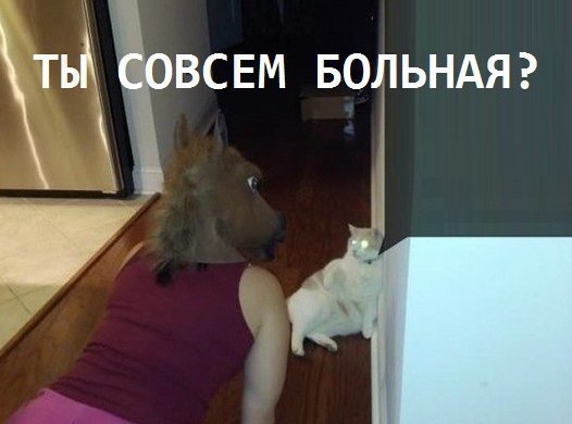  - 3  2016  10:35
