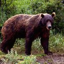 ���� ������, �������, 45 ��� - ��������� 6 ������� 2016 � ������ ���������!�