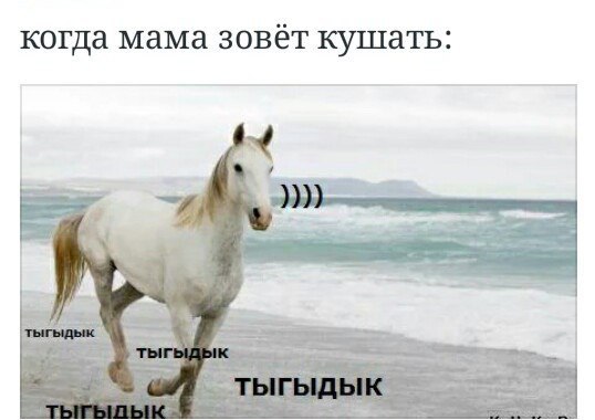 Мем с лошадью почему