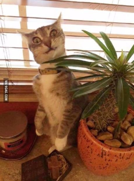   .#animal@travel.blog - 5