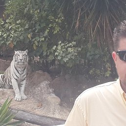  , -, 48  -  17  2015