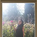 ���� ������, ������, 53 ���� - ��������� 28 �������� 2015 � ������ ���� ����������