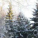  , , 60  -  5  2016     !