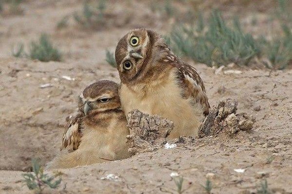 �� ���� � �����������������! �� ���� ��? ����� ����������.