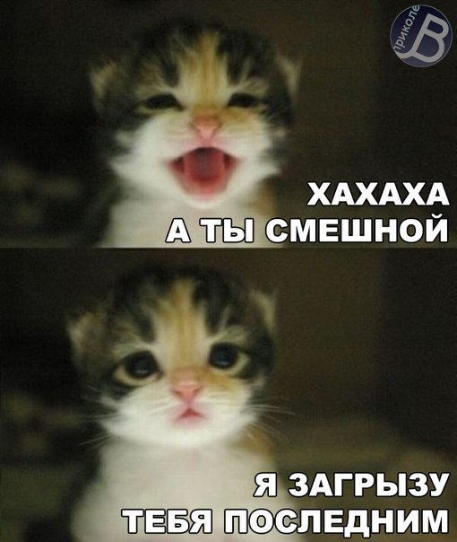 ������ - 26 ������� 2015 � 15:50