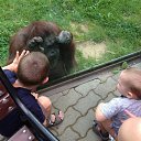 � ��� ��� � ����� ����������????......