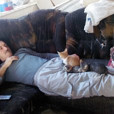  - 24  2015  13:29 - 5