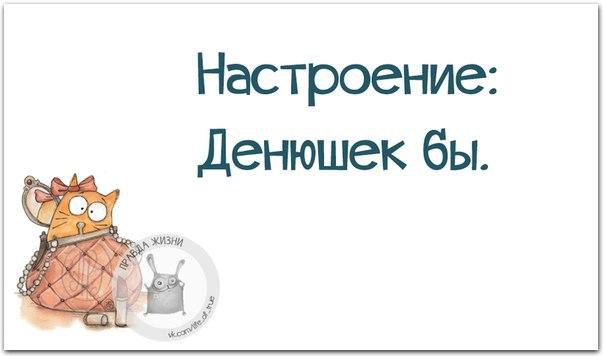   - 3  2016  11:24