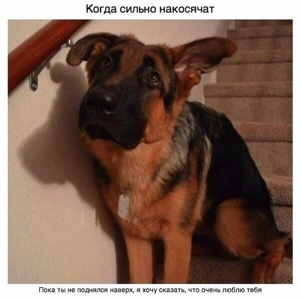   ... - 7
