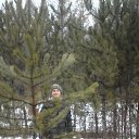  , --, 32  -  23  2015    