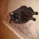 ���� Vlad ��������, ���� - ��������� 25 ������� 2015 � ������ ���� ����������