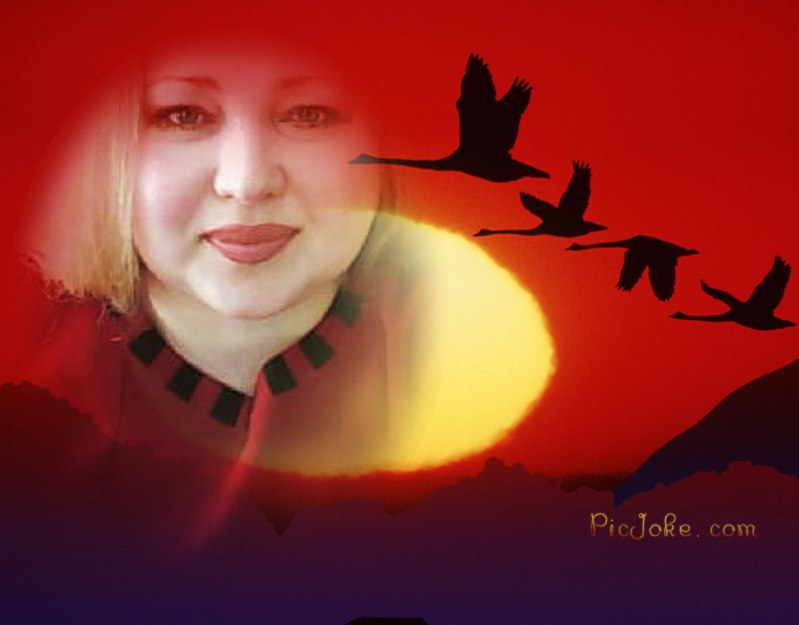 Qdsd Dddd - 1  2015  00:49