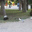 ���� ����, ������ - ��������� 10 ������ 2016 � ������ ���� ����������