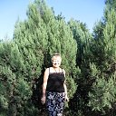 ���� �������, ������-��-����, 71 ��� - ��������� 30 ������ 2016 � ������ ���� ����������