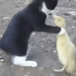 ���� �������, �����-���������, 57 ��� - ��������� 8 ������ 2016