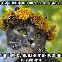 ���� ����/������, ������ �����, 73 ���� - ��������� 18 ������� 2015 � ������ ������