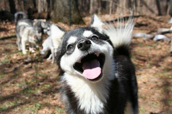 ...    :)