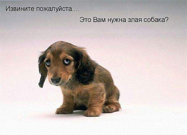 :-) :-) :-)