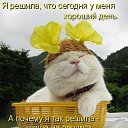 ���� ���, ��������� - ��������� 11 ������� 2015 � ������ ������ ��������