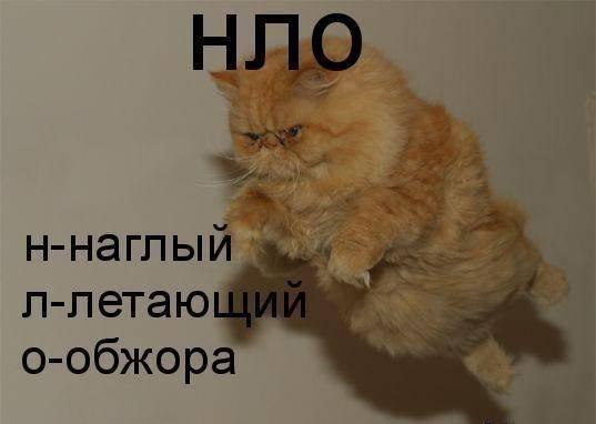   - 20  2015  17:32