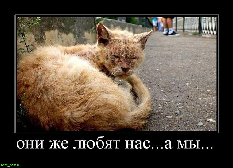  ,  ,   "   " .....