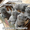 ���� ��-��-��, �����-��������� - ��������� 6 ����� 2016 � ������ ���� ����������