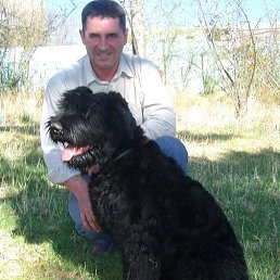 ������, ����, 64 ����