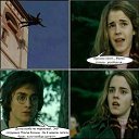 ���� �����, �������, 36 ��� - ��������� 8 ������ 2016 � ������ ������ ��������