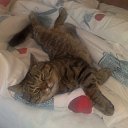 ������ ��� � �������, ��� ������� �������� :-))