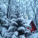 ���� ������, ����������� - ��������� 19 ������� 2015 � ������ ���� ����������