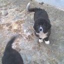 ���� Ivan, ������, 59 ��� - ��������� 17 ������� 2016 � ������ ������ ��������