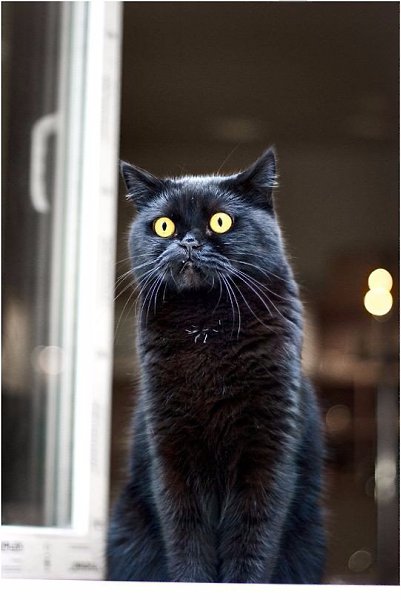   .#animal@travel.blog - 4