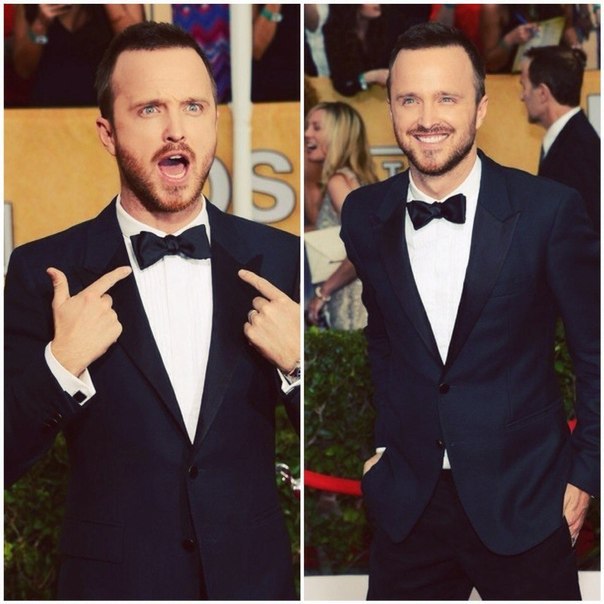   / Aaron Paul