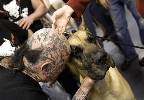       "Rescue Ink",      ... - 6
