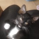 ���� ������, �����������, 55 ��� - ��������� 4 ������� 2015 � ������ ������ ��������