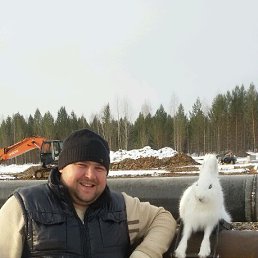 ���� �����, ����, 45 ��� - ��������� 6 ������� 2015