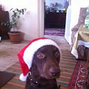 ���� Hovhannes, ������, 51 ��� - ��������� 11 ������ 2016 � ������ ����� ��� ������������