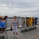  ,  -  24  2015    2015 