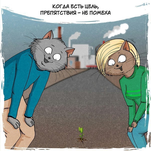    - 6