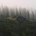 ���� ���������, ���� - ��������� 29 ������ 2015 � ������ ������ ��������