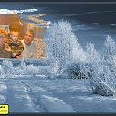 ���� ����, ����������, 58 ��� - ��������� 13 ������� 2016 � ������ ���� ����������