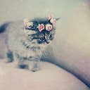 ���� �������, ������, 24 ���� - ��������� 27 ������� 2015 � ������ ���� ����������