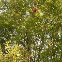 ���� ������, �������, 66 ��� - ��������� 12 ������� 2016 � ������ ���� ����������