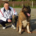 ���� Valera, ���������, 66 ��� - ��������� 26 ������ 2016 � ������ ���� ����������