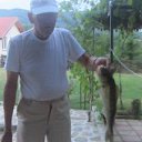  Chris, , 82  -  3  2016    
