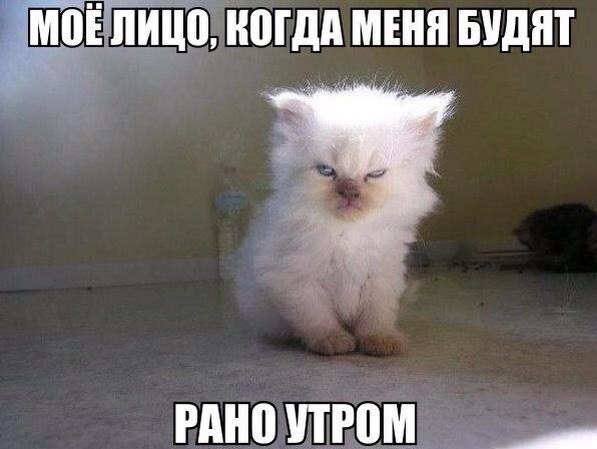  -  - 20  2016  14:24