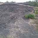 ���� �����, �������, 55 ��� - ��������� 12 ������ 2016 � ������ ������ ��������