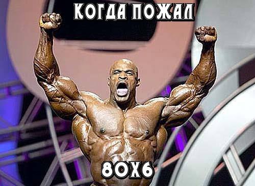 SportFeed - 2  2016  14:07